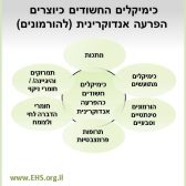 כימיקלים משודים כהפרעה אנדוקרינית