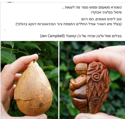 גלעין אבוקדו - יתרונות בריאותיים