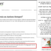 מרקולה-אוטיזם-מנגנוני-נזק