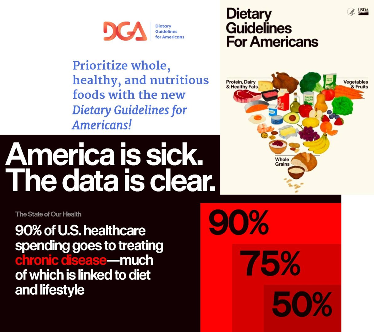 פירמידת המזון החדשה בארה"ב ולימודי תזונה בבתי ספר לרפואה