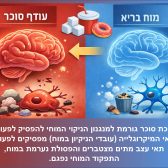 סוכר מזיק למוח - מבטל את מנגנון הניקוי המוחי סוכר מזיק למוח - מבטל את מנגנון הניקוי המוחי